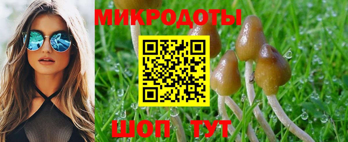 Вятские Поляны  Псилоцибиновые грибы прущие грибы  Псилоцибиновые грибы Psilocybine cubensis  Вход с VPN 