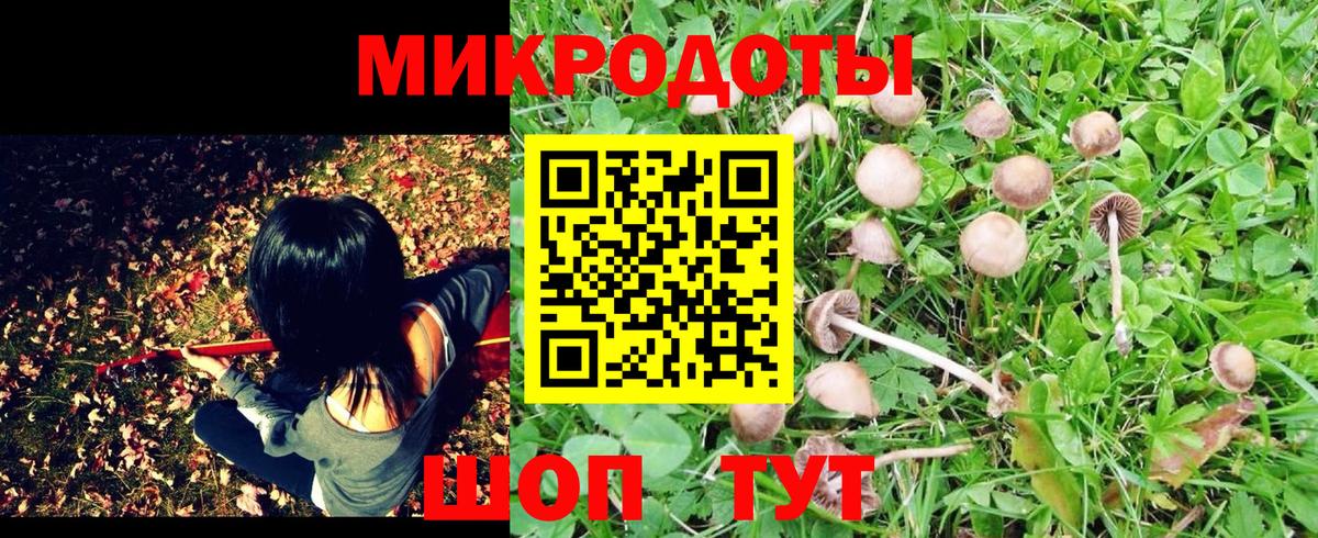 Галлюциногенные грибы GOLDEN TEACHER Вятские Поляны